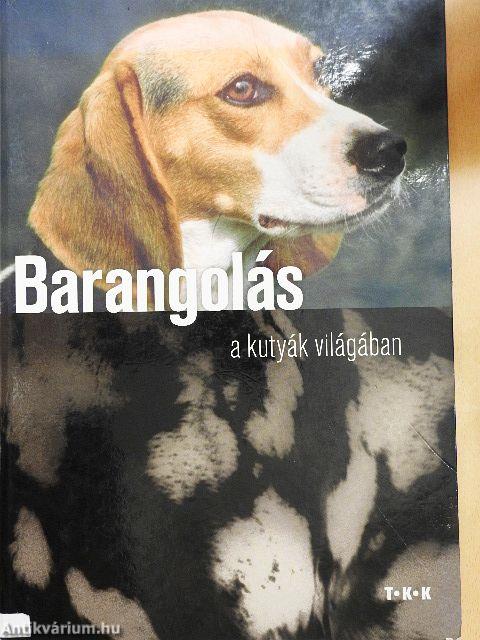 Barangolás a kutyák világában