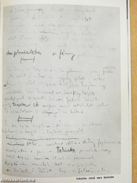 Babits Emlékmúzeum - Esztergom