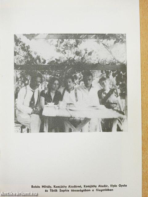 Babits Emlékmúzeum - Esztergom