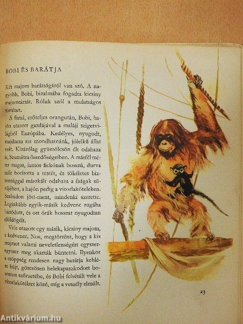 Vadállatok gyerekszobája