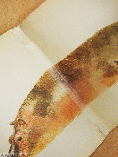 Vadállatok gyerekszobája