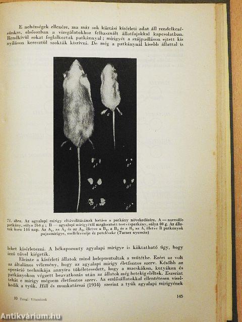 A vitaminok, hormonok és antibiotikumok szerepe az állattenyésztésben