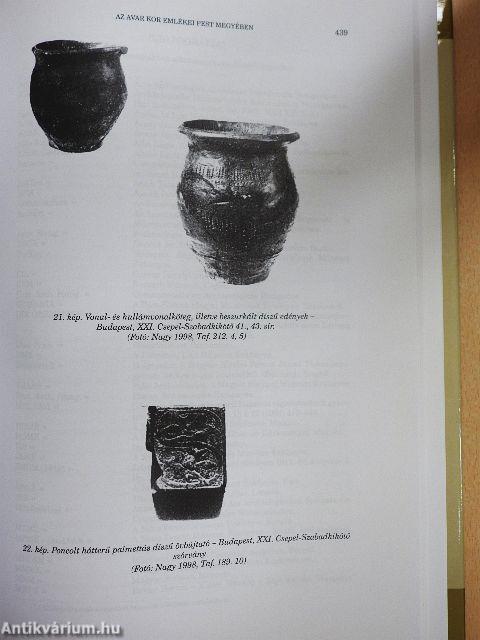 Pest Megye Monográfiája I/1.