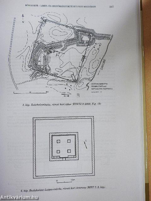 Pest Megye Monográfiája I/1.