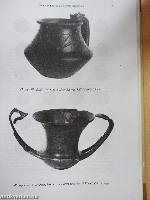 Pest Megye Monográfiája I/1.