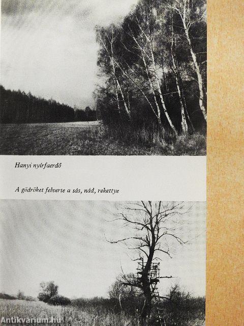 Egy marék vadászemlék