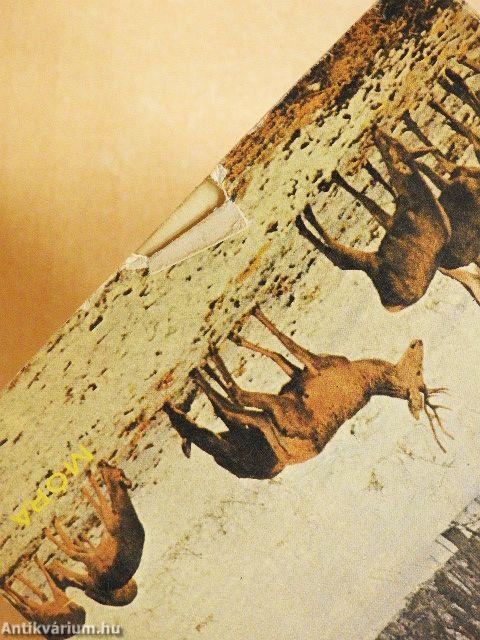 A gemenci bak és más vadászelbeszélések