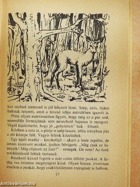 A gemenci bak és más vadászelbeszélések