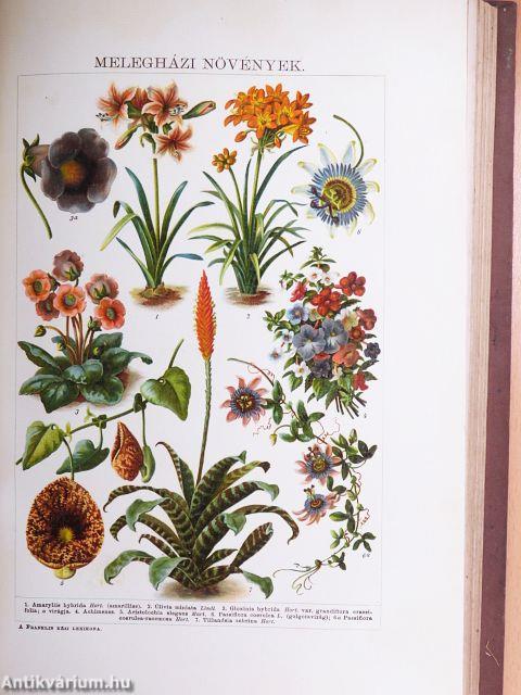 A Franklin kézi lexikona I-III.