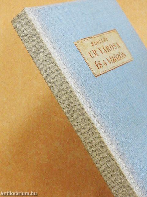 Ur városa és a vízözön