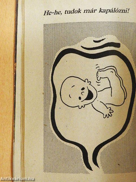 Hahó, megérkeztem!