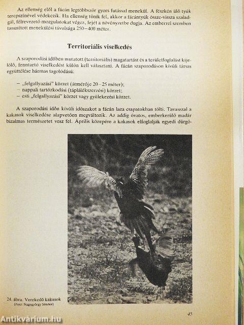 A fácán és vadászata