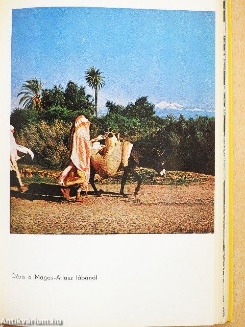 A Pireneusoktól a Fokföldig