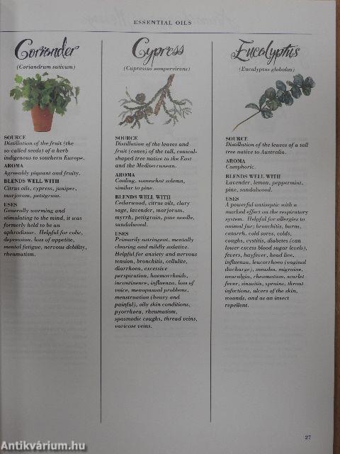 The Aromatherapy and Massage Book