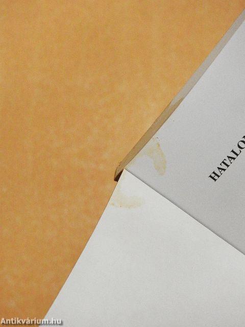 Hatalomgyakorlás az MSZP-SZDSZ koalíció idején