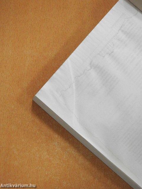 Egészségturizmus: gyógyászat, wellness, holisztika