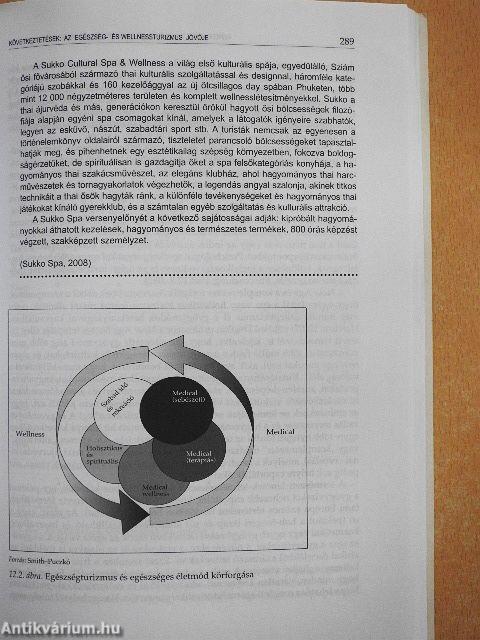 Egészségturizmus: gyógyászat, wellness, holisztika