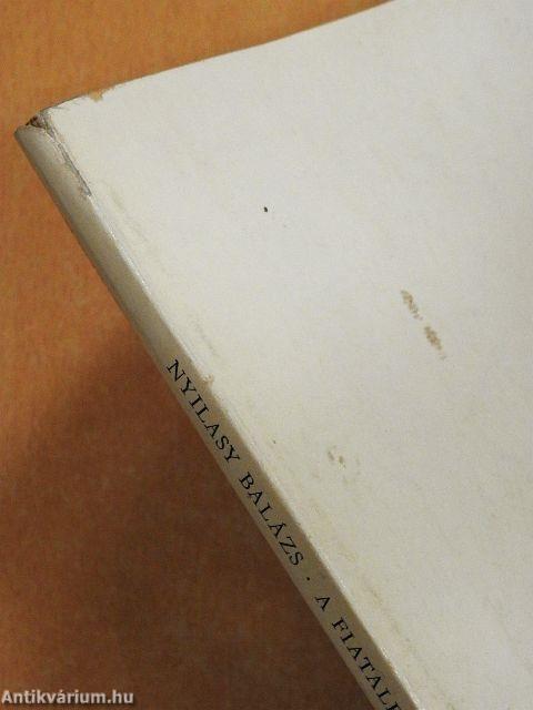 A fiatalember mindennapjai