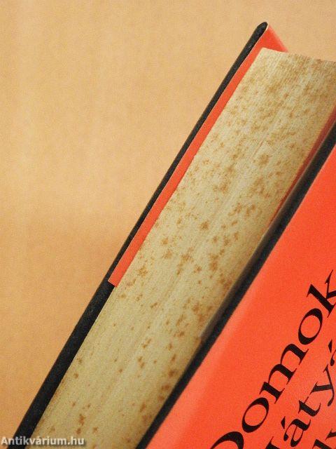 A pályatárs szemével