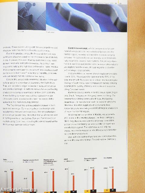 Continental Aktiengesellschaft Annual Report 2000