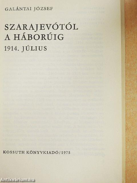 Szarajevótól a háborúig