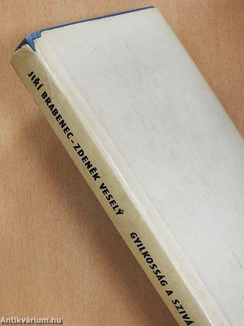 Gyilkosság a Szivárvány-öbölben