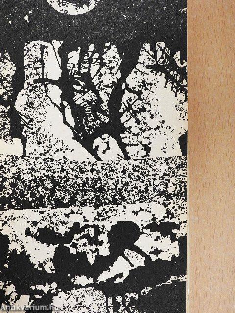 Gyilkosság a Szivárvány-öbölben