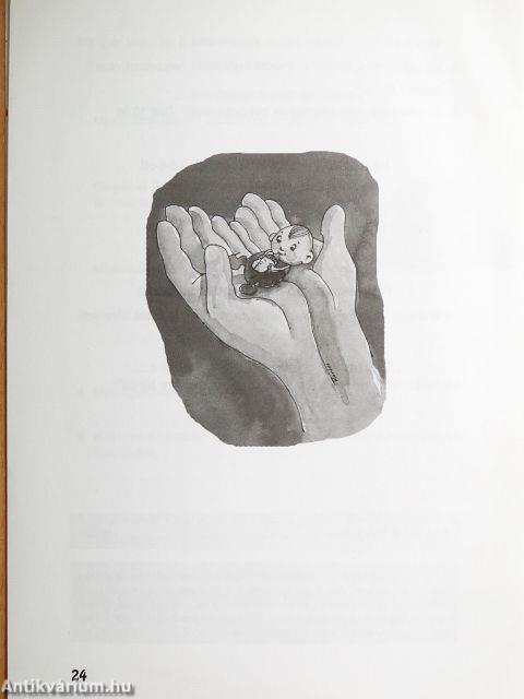 Élet Jézus Krisztussal I.