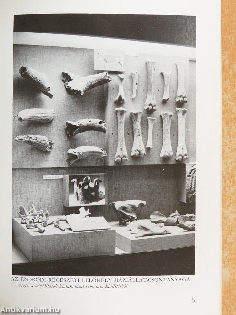 A magyar Mezőgazdasági Múzeum kiállításainak ismertetője