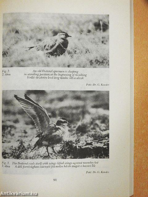 Aquila - A Magyar Madártani Intézet évkönyve 1991