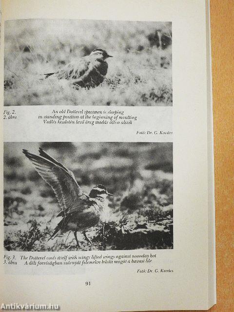 Aquila - A Magyar Madártani Intézet évkönyve 1991