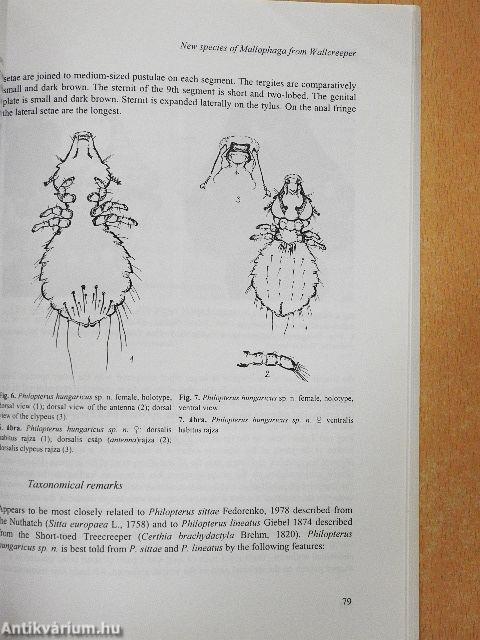 Aquila - A Magyar Madártani Intézet évkönyve 1996-1997