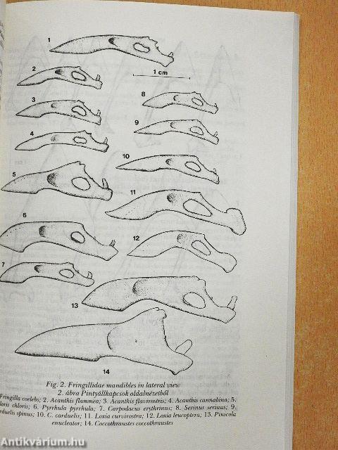 Aquila - A Magyar Madártani Intézet évkönyve 1992