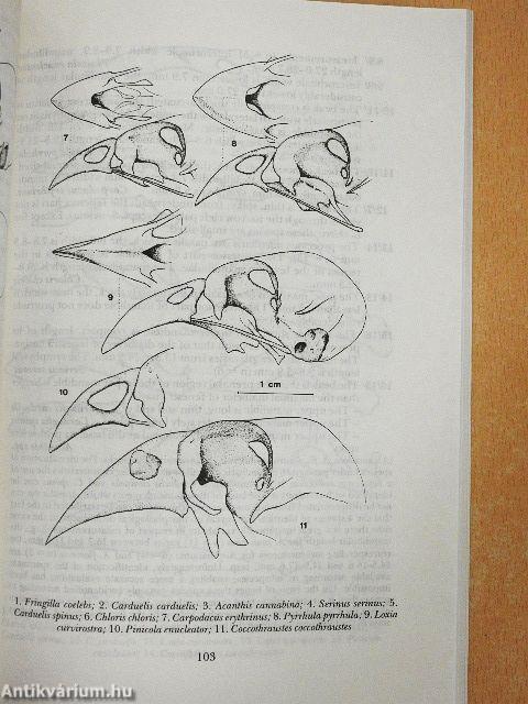 Aquila - A Magyar Madártani Intézet évkönyve 1992