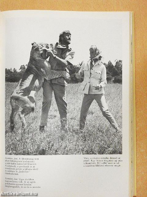 Oroszlánok között