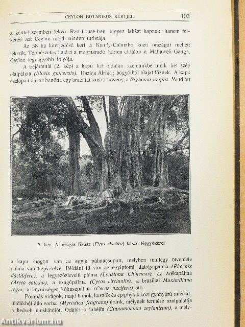 Természettudományi Közlöny 1914. január-december/Pótfüzetek a Természettudományi Közlönyhöz 1914. január-december