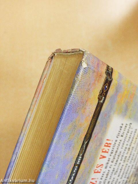 Jégvár csatája I.