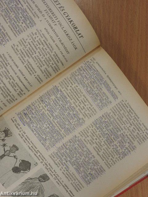 Óvodai nevelés 1979-1980. január-december