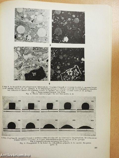 Archaeologiai értesítő 1977/2.