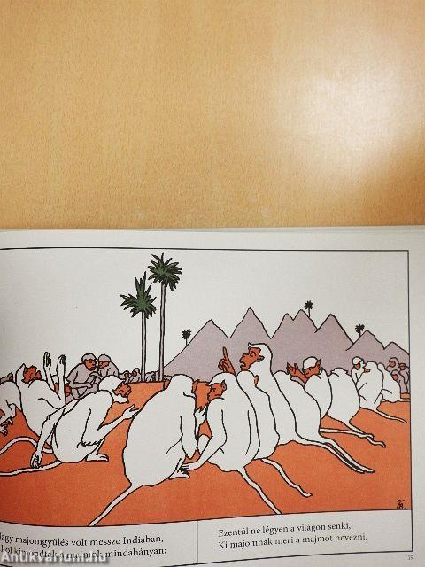 A kókuszdió története és egyéb képek