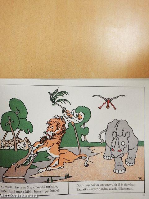 A kókuszdió története és egyéb képek