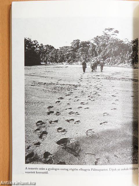 A dicsőség kapuján át