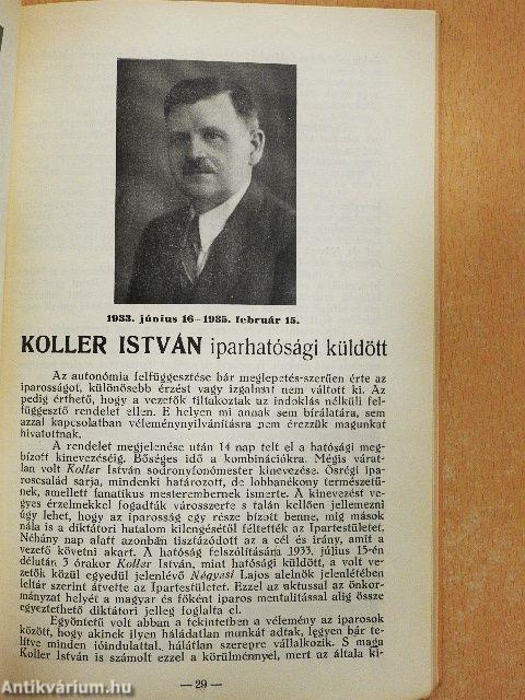 Hódmezővásárhely thj. város ipartestületének története