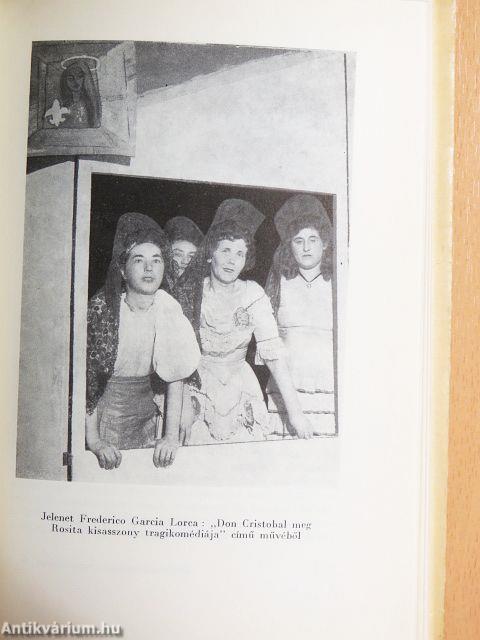 A pszichotikusok csoport-pszichoterápiája