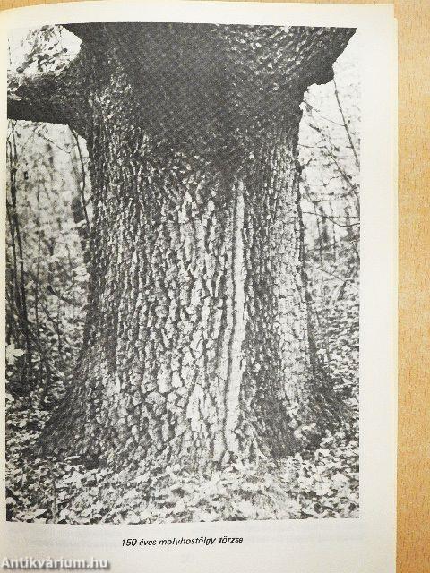 A Vértes természeti értékei