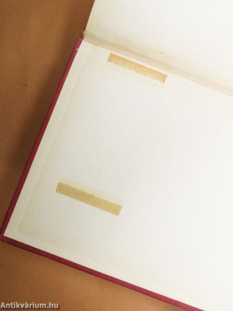 Orosz-magyar szótár I-II.