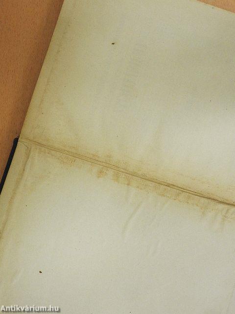 A Magyar Pamutipar Részvénytársaság szemináriuma