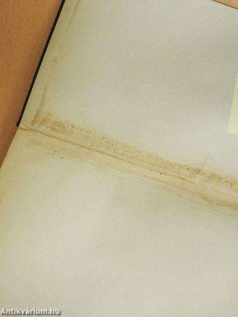 A Magyar Pamutipar Részvénytársaság szemináriuma