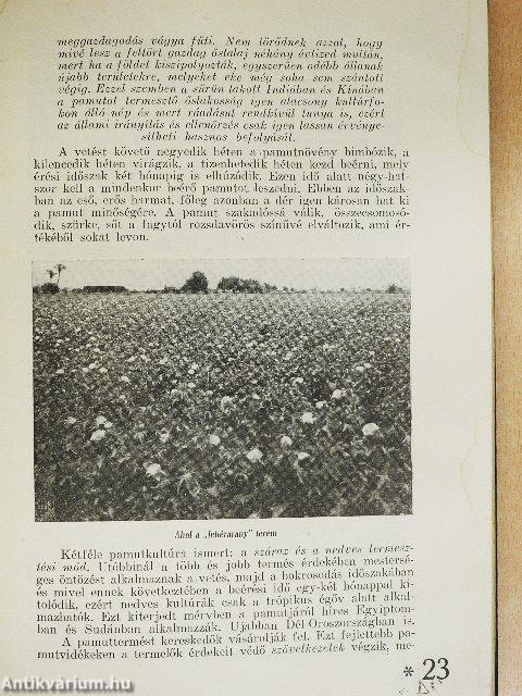 A Magyar Pamutipar Részvénytársaság szemináriuma