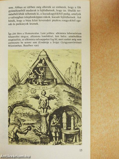 Emberősök, ősemberek